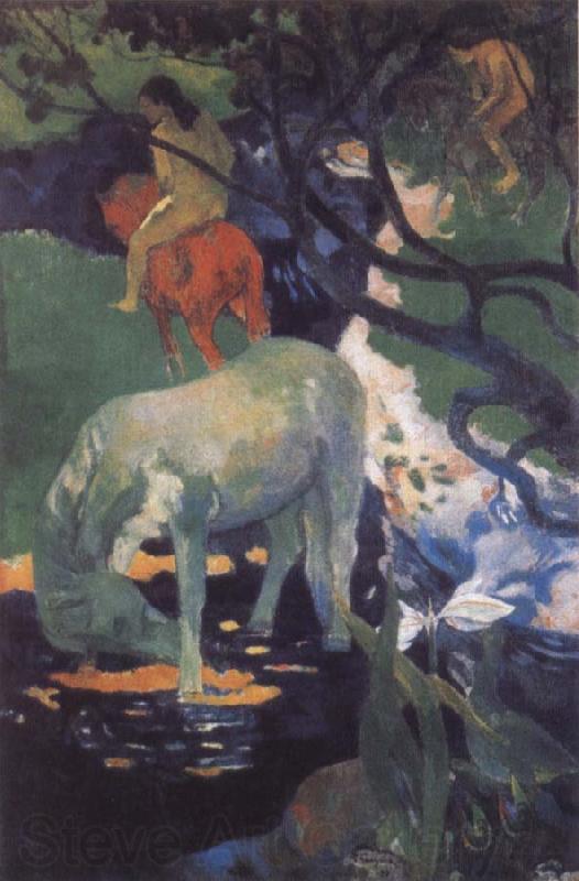 Paul Gauguin The White Horse France oil painting art